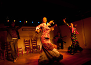 仙台のフラメンコスタジオ・スクール サムネイル画像