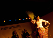 仙台のフラメンコスタジオ・スクール サムネイル画像