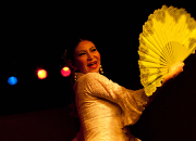 仙台のフラメンコスタジオ・スクール サムネイル画像