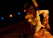 仙台のフラメンコスタジオ・スクール サムネイル画像