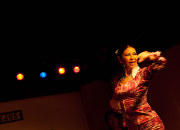 仙台のフラメンコスタジオ・スクール サムネイル画像