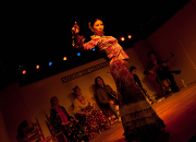 仙台のフラメンコスタジオ・スクール サムネイル画像