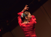 仙台のフラメンコスタジオ・スクール サムネイル画像