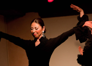 仙台のフラメンコスタジオ・スクール サムネイル画像