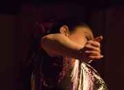 仙台のフラメンコスタジオ・スクール サムネイル画像