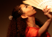 仙台のフラメンコスタジオ・スクール サムネイル画像