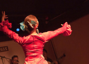 仙台のフラメンコスタジオ・スクール サムネイル画像