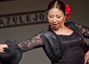 仙台のフラメンコスタジオ・スクール サムネイル画像