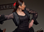 仙台のフラメンコスタジオ・スクール サムネイル画像