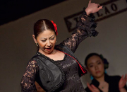 仙台のフラメンコスタジオ・スクール サムネイル画像