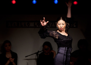 仙台のフラメンコスタジオ・スクール サムネイル画像