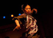 仙台のフラメンコスタジオ・スクール サムネイル画像