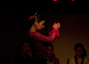 仙台のフラメンコスタジオ・スクール サムネイル画像