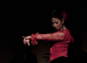 仙台のフラメンコスタジオ・スクール サムネイル画像