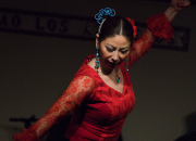 仙台のフラメンコスタジオ・スクール サムネイル画像