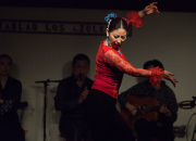 仙台のフラメンコスタジオ・スクール サムネイル画像