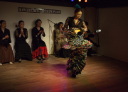 仙台のフラメンコスタジオ・スクール サムネイル画像