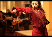 仙台のフラメンコスタジオ・スクール サムネイル画像