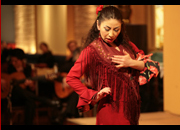 仙台のフラメンコスタジオ・スクール サムネイル画像