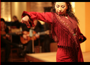 仙台のフラメンコスタジオ・スクール サムネイル画像
