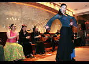 仙台のフラメンコスタジオ・スクール サムネイル画像