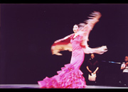 仙台のフラメンコスタジオ・スクール サムネイル画像