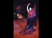 仙台のフラメンコスタジオ・スクール サムネイル画像