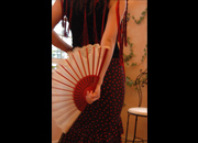 仙台のフラメンコスタジオ・スクール サムネイル画像